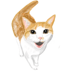 [LINEスタンプ] 猫の楽しい仲間たち