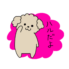 [LINEスタンプ] トイプードルのハル