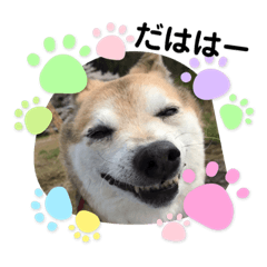 [LINEスタンプ] あきまろんがよく使うスタンプ