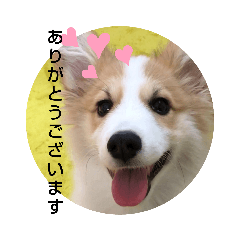 [LINEスタンプ] うめさんとお話し