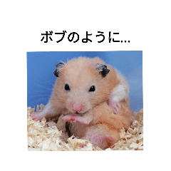 [LINEスタンプ] ハムスターのボブ 2