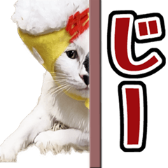 [LINEスタンプ] 飛び出すビール猫！【保護猫ベニとハク】の画像（メイン）