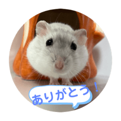 [LINEスタンプ] だいふく〜2