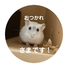 [LINEスタンプ] だいふく〜4