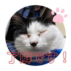 [LINEスタンプ] 茶太郎とみい子 3