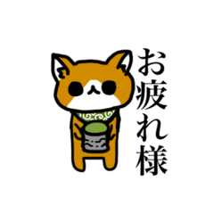 [LINEスタンプ] 柴犬こてつ！！