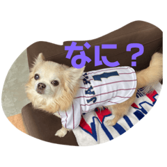 [LINEスタンプ] チョコとさくら12