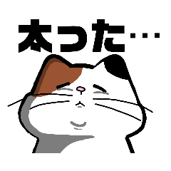 [LINEスタンプ] ねこっと！