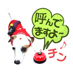 [LINEスタンプ] 愛犬♡ハナコのスタンプ10☆