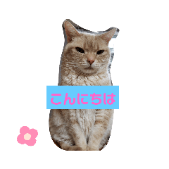 [LINEスタンプ] ZIZIくん＆FRIEND’s
