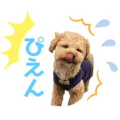 [LINEスタンプ] 22.そら