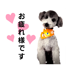 [LINEスタンプ] プードルレオン君
