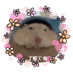 [LINEスタンプ] ふわもこ♡ほっこりハムスターの日常♪