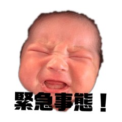 [LINEスタンプ] 紬ちゃんの日常