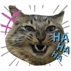 [LINEスタンプ] ウチの6きょうだい_part2