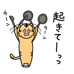 [LINEスタンプ] 優しい 虎