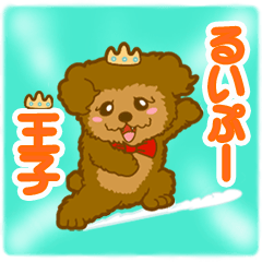 [LINEスタンプ] るいぷー王子★おちゃめなトイプー