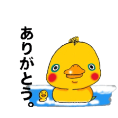 [LINEスタンプ] はじめまして。きゃもい次郎です。