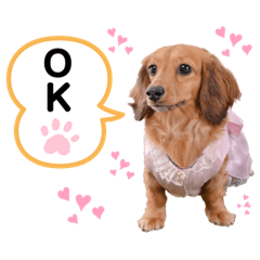 [LINEスタンプ] わたちもこ