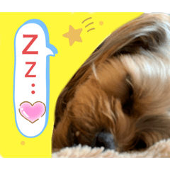 [LINEスタンプ] かわいい！ペロリんスタンプ❤️