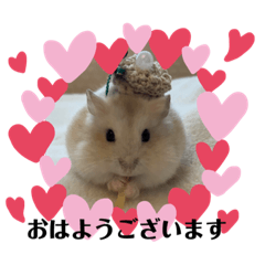 [LINEスタンプ] ほっこりハムスターの日常会話♡2