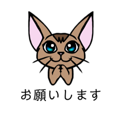 [LINEスタンプ] アビシニアン①