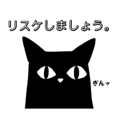 [LINEスタンプ] 意識が高い猫