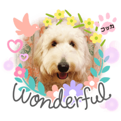 [LINEスタンプ] フッカフカのフッカ・その4
