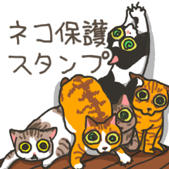 [LINEスタンプ] ネコ保護スタンプ