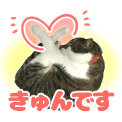 [LINEスタンプ] とある日の「りえこ。デラックス」