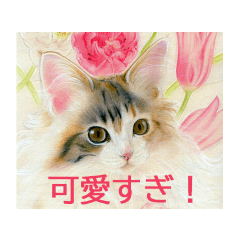 [LINEスタンプ] 目羅健嗣 猫アートコレクション 4