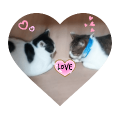 [LINEスタンプ] ニャンずLove×2スタンプ
