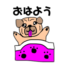 [LINEスタンプ] パグのムギちゃんの毎日使えるスタンプ