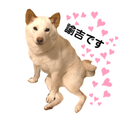 [LINEスタンプ] 諭吉4