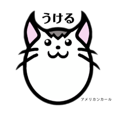 [LINEスタンプ] 卵ねこ～世界のにゃんこ～