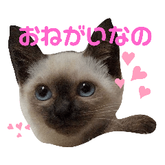 [LINEスタンプ] 凛ちゃんなの