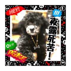 [LINEスタンプ] wan wan wan❤︎
