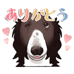 [LINEスタンプ] ボルゾイ犬☆リズのスタンプ