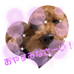[LINEスタンプ] ワンコで会話