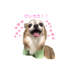 [LINEスタンプ] MYDOD＆CAT