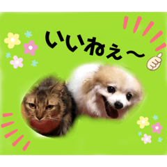 [LINEスタンプ] ロンとラム普段使い(多ver.)