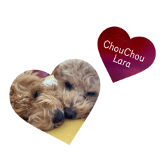 [LINEスタンプ] Chou Chou ＆ Lara Stickers ♡