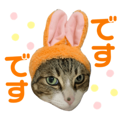 [LINEスタンプ] ごえもん日和 12