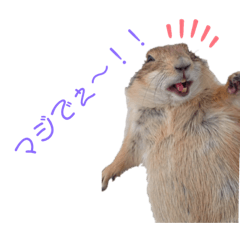 [LINEスタンプ] プレーリードッグ3