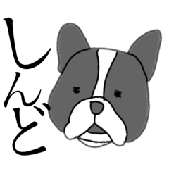 [LINEスタンプ] カイトの呟き