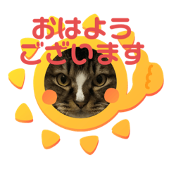 [LINEスタンプ] ネコのマイキー3