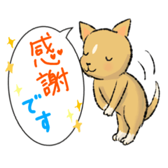 [LINEスタンプ] ころこ 毎日使えるあいさつ