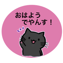 [LINEスタンプ] 猫の挨拶スタンプ♡
