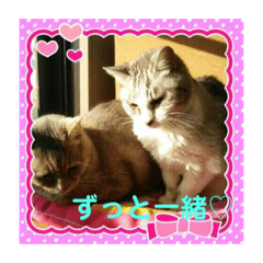 [LINEスタンプ] みんな仲良し 家族♡