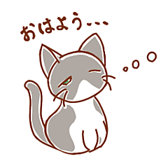 [LINEスタンプ] ハチワレ猫ちゃんスタンプ